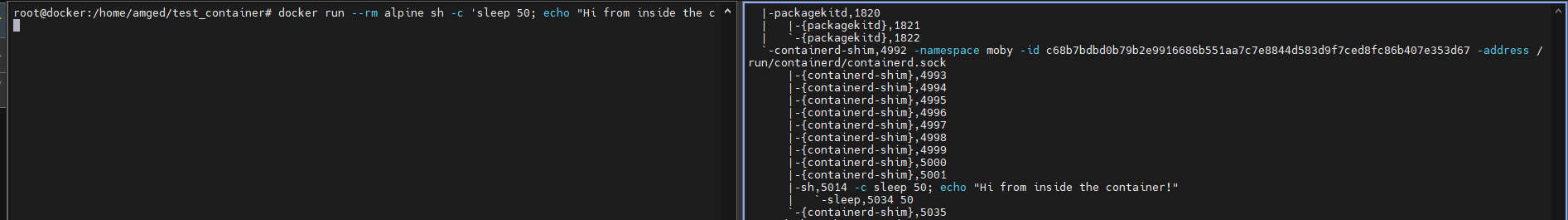 Process tree of a container created in detached mode using Docker CLI
