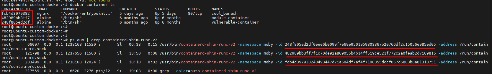 The shim process accepts the ID of the relevant container as a command-line argument