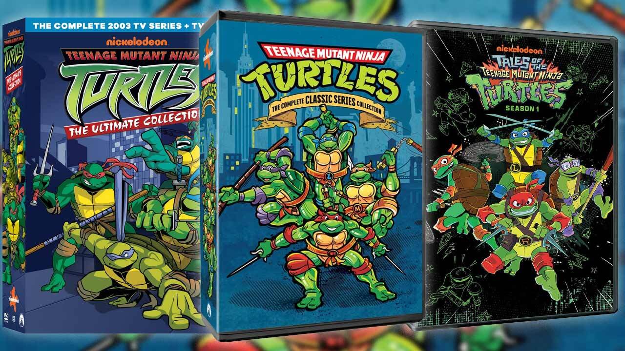 Teenage Mutant Ninja Turtles animated series
