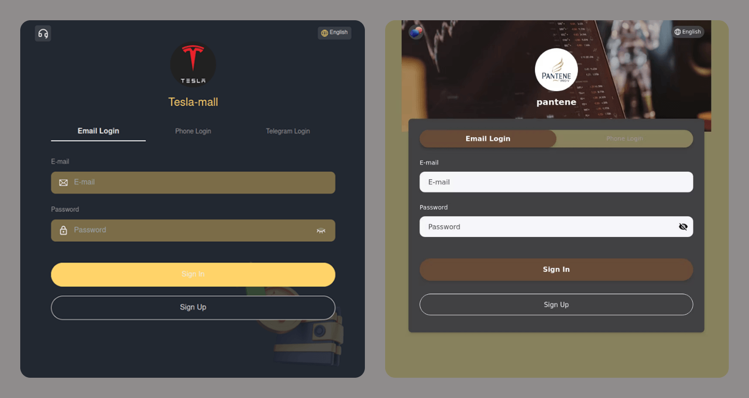 Login forms on fraudulent websites